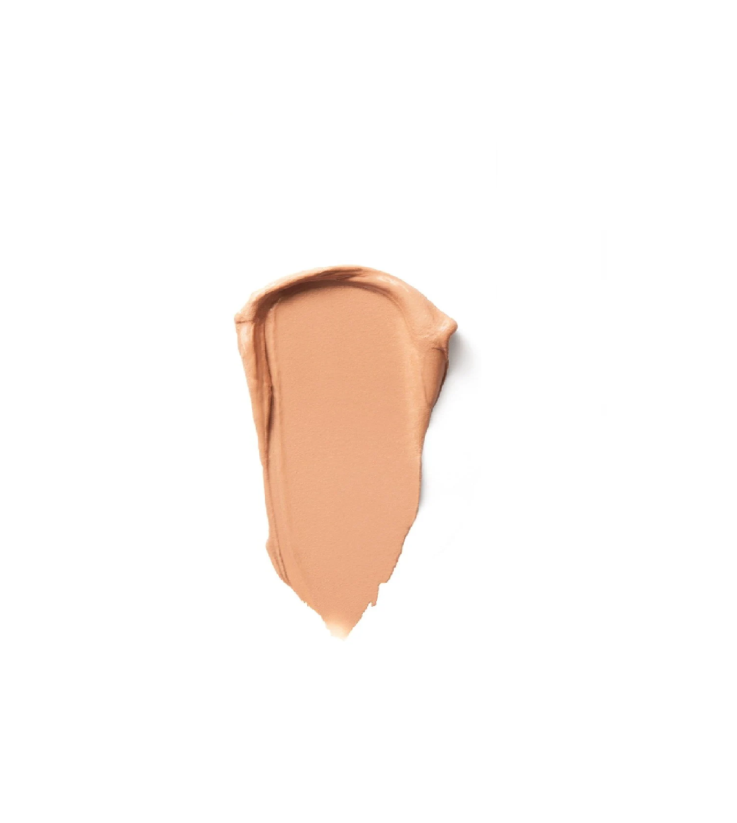 MAYBELLINE LIFTER STIX
